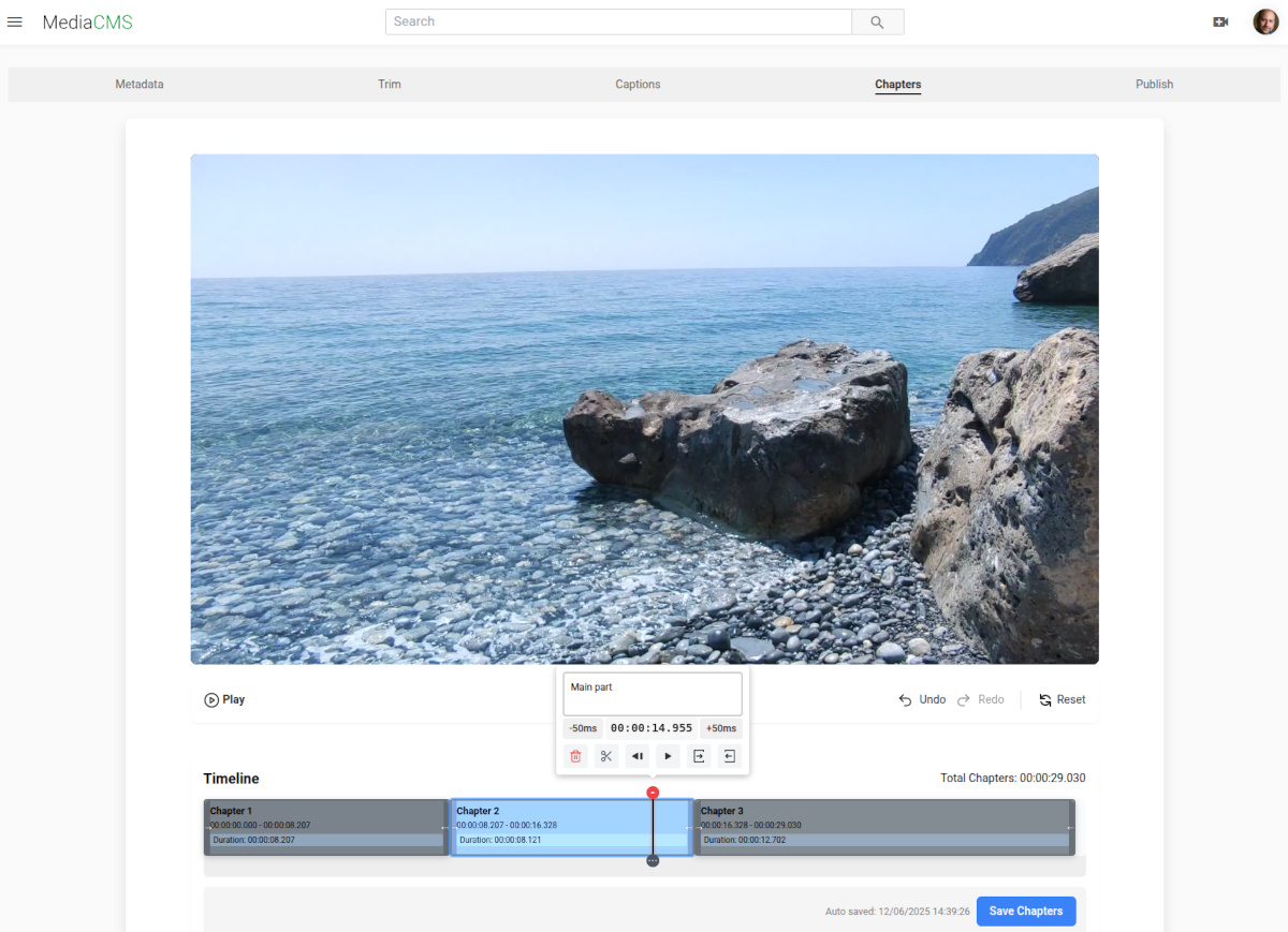 Editing chapters interface