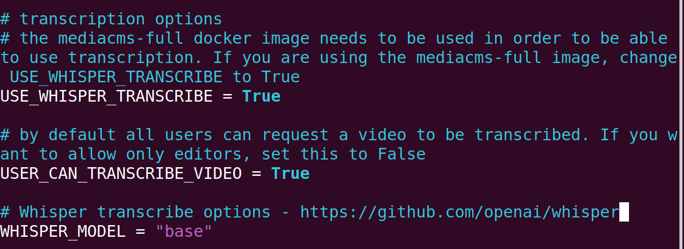 Transcription settings